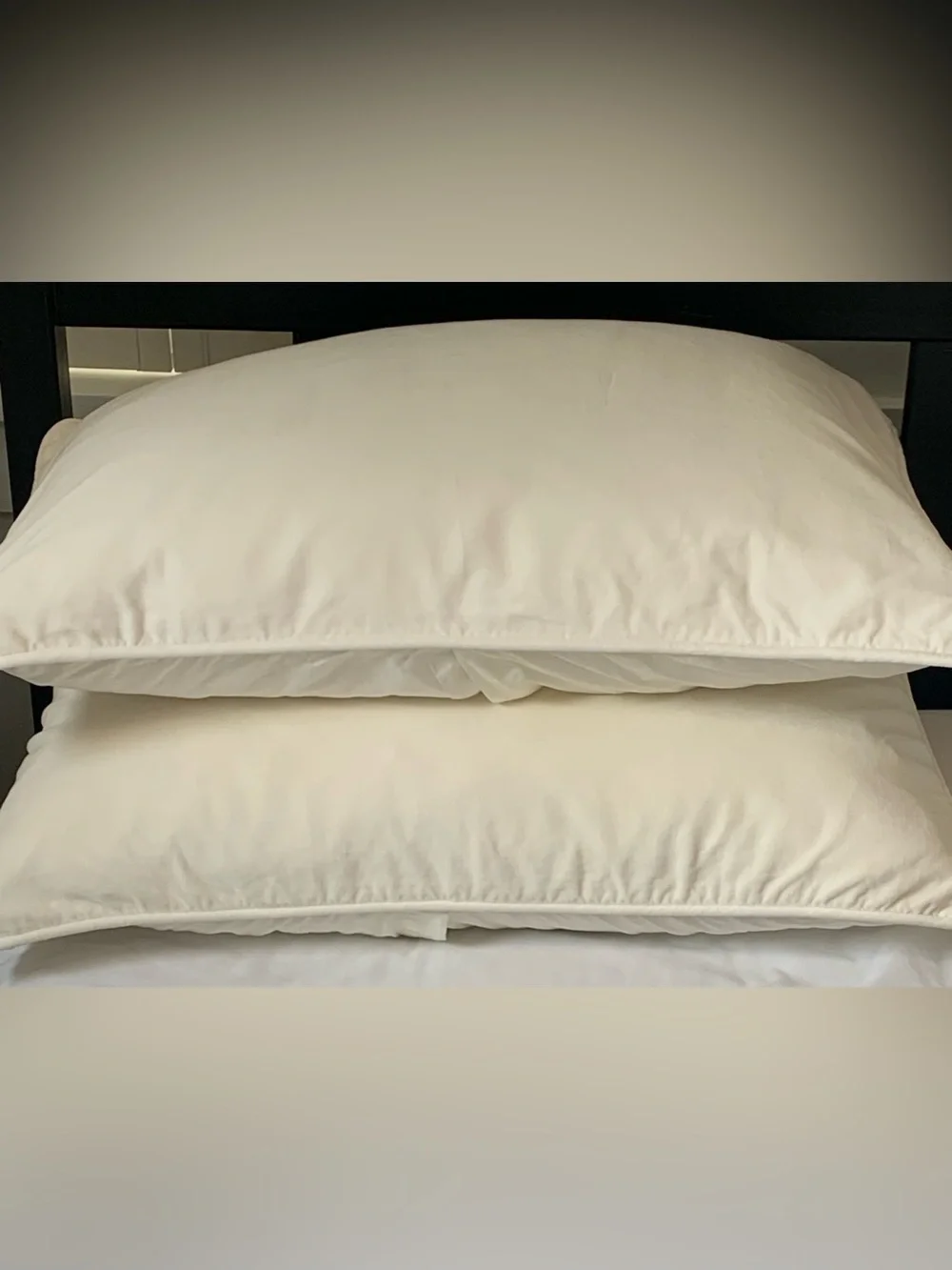 Pottery Barn Teen Ivory Velvet Stand Pillow Sham  Set of (2)